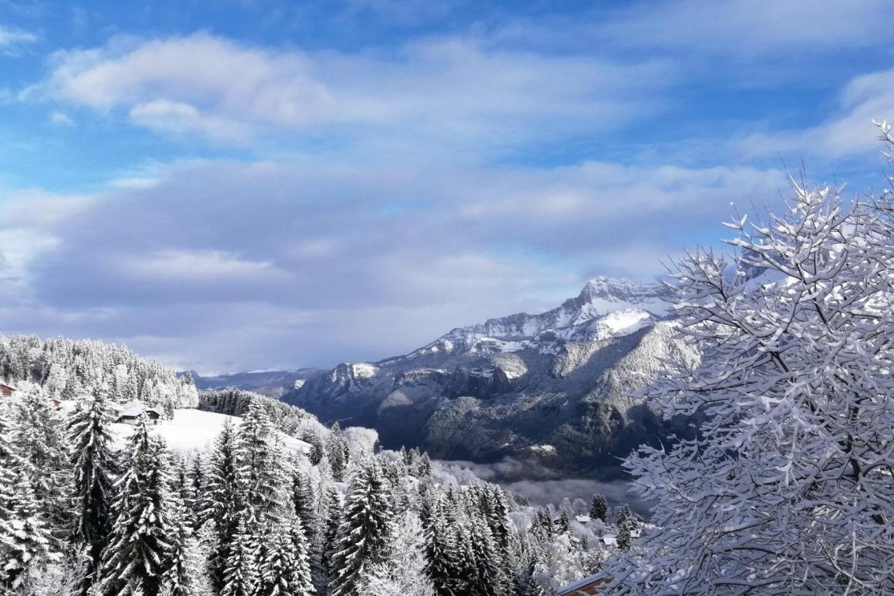 Studio Classified All Comfort View On Aravis Combloux Kültér fotó